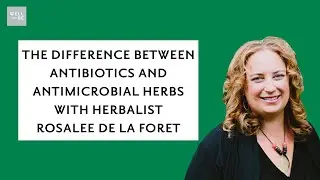 The Difference Between Antibiotics and Antimicrobial Herbs with Herbalist Rosalee de la Foret