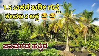 village land in pavagada beside of hill | 1.5 acre small land