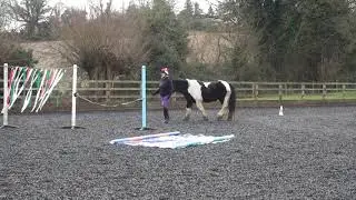 Interdressage class 7A in hand HH Henri & Minstrel