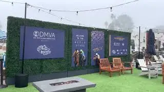 Artificial Boxwood Hedge - Event Rental