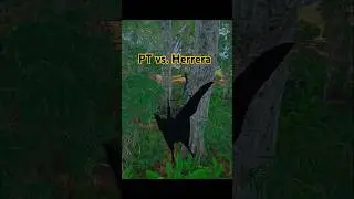 Ptera flings Herrera #evrima #theisle #pteranodon #ptera #pt #herrerasaurus