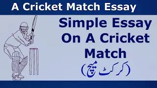 A cricket match essay in english || Essay on a cricket match