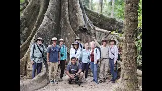 Peruvian Amazon | Manu National Park, Tambopata National Reserve & Iquitos Amazon River