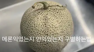꿀팁 메론 익었는지 안익었는지 구별법