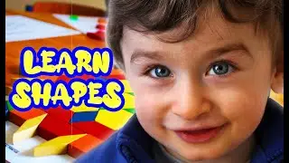 Learn Shapes | Fun Educational Video  | Le Forme | Prescolare | Pre School | Pedagogia for you