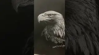 Incredible chalkboard drawing #sketching #art #chalkpainting #blackboard #drawingtutorial