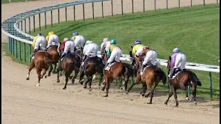 【CHANTILLY】FRENCH HORSE RACE ANALYSIS - CHECK OUT ONE OF THE BEST ☆☆☆ TOO!!