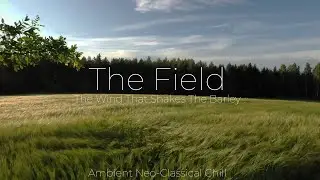 The Wind That Shakes The Barley: The Field