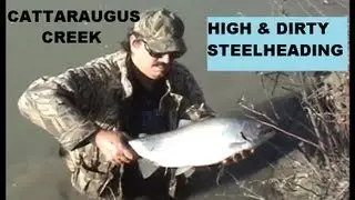 HIGH & DIRTY CATTARAUGUS CREEK  STEELHEAD