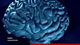 ¿Por qué duermen tanto los adolescentes? Te lo explicamos en 6 minutos - Dr. Mario Acosta Mejía