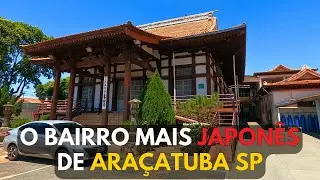 [4K] Passeio a Pé Pela Região Mais Japonesa de Araçatuba SP | Bairros Higienópolis e Centro