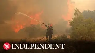 Live: Wildfire rages near Athens as temperatures predicted to soar