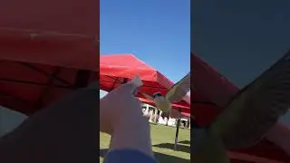 El Pitog&uuml;&eacute; termal 3