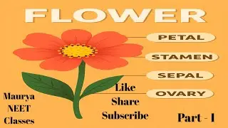 Flower part - 1 (Morphology of flowering plants) #botany #neet #neetbiology #biology #education 