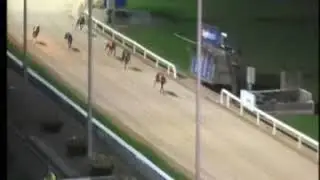 IGB - The www.gogreyhoundracing.ie A4/A5  Semi-Final 24/10/2019 Race 5 - Shelbourne Park