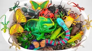 Ultimate ZURU Robo Alive Insects ASMR 🦎 Slithering Snake, Chameleon, Scorpion, Worm (No Talking)