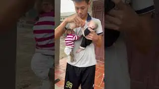 Munchies and dad are feeding the baby milk 🍼 #monkey #cute #funny #animals #cutebaby #baby