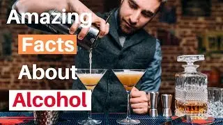 Top 56 Amazing  Facts About Alcohol - interesting Facts About Alcohol