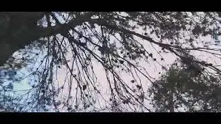 MADD,WEST- ALLO OuAis{Music-Video}cliip Officiel