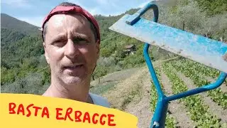 Come eliminare le erbe infestanti , la sarchiatura