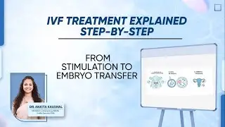 IVF Step-by-Step Explained | Complete IVF Treatment Process by Dr. Ankita Kaushal