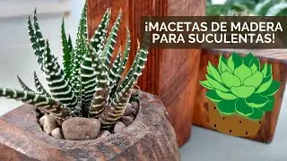 🌵Macetas con Madera Reciclada para Suculentas! 🛠️| Alex Maniass