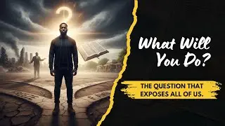 What Will You Do: Freeze, Fight, Flight, or Fold