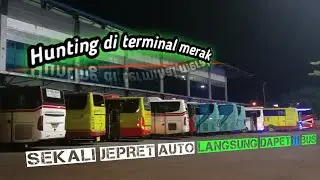 Hunting & Melihat Situasi Di Terminal Merak || Sekali Jepret Langsung dapet 11 Bus ❗