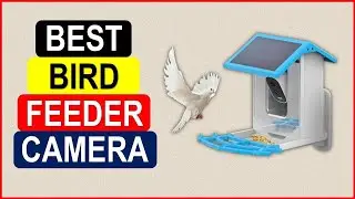 Top 5 Best Bird Feeder Camera From On Aliexpress On Amazon
