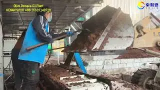 Olive Pomace Oil Line