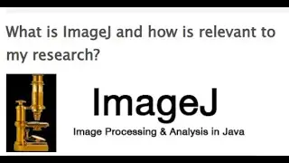 How to measure Fiber Diameter using ImageJ