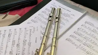 Deixa meu povo ir (Vai, Mois&eacute;s)- Flauta