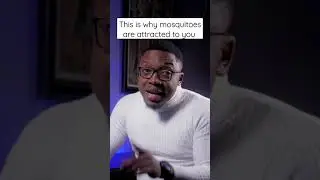 what attracts mosquitoes to you?