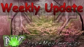 Weekly Update 9/21/2017