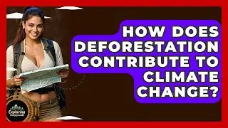 How Does Deforestation Contribute To Climate Change? - Exploring Campgrounds