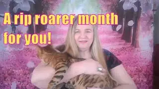 Aries Horoscope May 2019 Money, Money, Money 💸💰💲