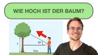 TRIGONOMETRIE SACHAUFGABE einfach erkl&auml;rt| WIE HOCH IST DER BAUM | Tangens