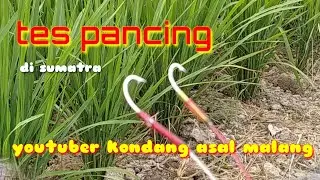 tes pancing YOUTUBER kondang || HENDRI EKO (om... bram)