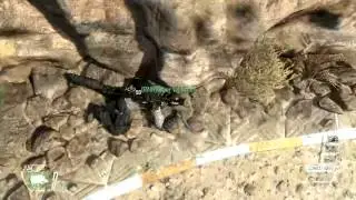 Black ops 2 ninja spots on yemen and express