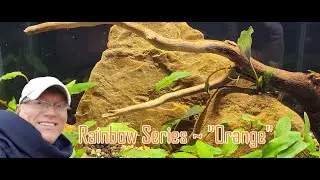 Aquascaping On The Fly ~ 