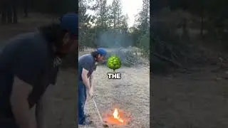 Flaming Golf Ball Disaster in Forest 🤯