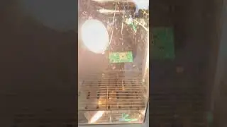 105 degree high temperature testing process