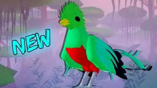 New Quetzal on Feather Family!!!