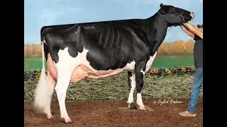 2026 PA Holstein Convention Sale Lot 22