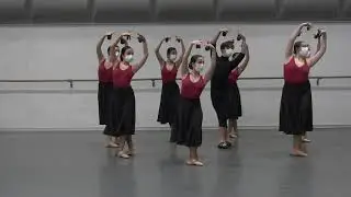 Conservatori Professional de Dansa: Càpsula Dansa Espanyola