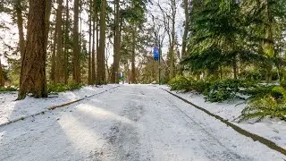 Snow Bike Ride - Downtown Victoria to Beacon Hill Park  (Victoria, BC - December 2021)