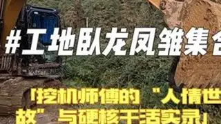 接了高标准农田改造的活，一天下来忙到脚不沾地～堵车遇上插队党，上桥称重比师傅的挖机还沉，到了工地直接开启“全能模式”：#挖沟排水、#做田埂。还顺手救了陷住的割稻机、拉了被困的挖机，甚至给狗脑壳车...
