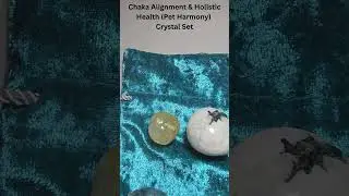 Chaka Alignment & Holistic Health (Pet Harmony) Crystal Set