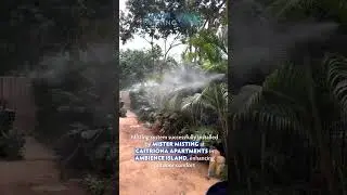 Misting System Installed at Caitriona Apartments | Mister Misting | Outdoor Cooling Solution#shorts