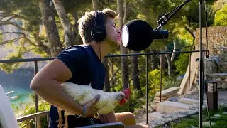 What if - Josh Stanley (ft. Elizabeth the Chicken 🐔)
